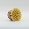 Brosse de rechange pour brosse vaisselle