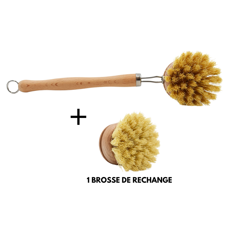 Brosse vaisselle + brosse de rechange